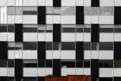 Architexture