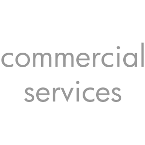 300 px Text commercial services